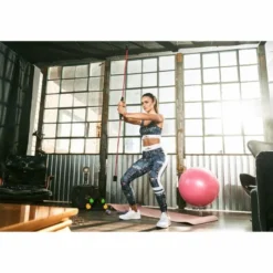 Gorilla Sports Gymnastikballhalter Transparent Online