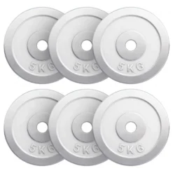 Gorilla Sports Hantelscheibe Chrom 0,5 - 30 kg Silber Clearance