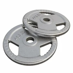 Gorilla Sports Hantelscheibe Gusseisen Gripper - 2,5-45 lb (1,1-20,4 kg), 2" (50/51 mm), Silber