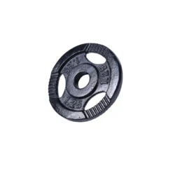 Gorilla Sports Hantelscheibe Gusseisen Gripper 0,5 - 20 kg Schwarz Outlet
