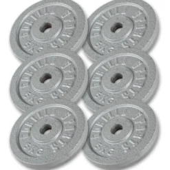Gorilla Sports Hantelscheibe Gusseisen 0,5 - 30 kg Silber New