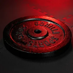 Gorilla Sports Hantelscheibe Gusseisen 0,5 - 30 kg Silber Outlet