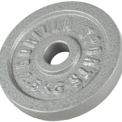 Gorilla Sports Hantelscheibe Gusseisen 0,5 - 30 kg Silber Sale