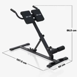 Gorilla Sports Hyperextension klappbar und verstellbar Schwarz New