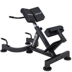 MAXXUS Hyperextension Rückentrainer PRO Schwarz / Blau Discount