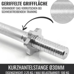 Gorilla Sports Kurzhantel Set Gusseisen 30 kg Silber New