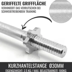 Gorilla Sports Kurzhantel Set Gusseisen 20 kg mit Sternverschlüssen Silber Clearance
